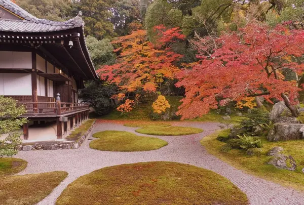 醍醐寺三宝院の写真・動画_image_104718