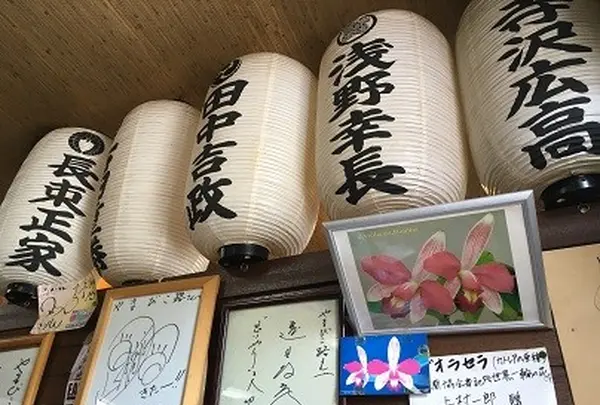 やまびこ路の写真・動画_image_104772