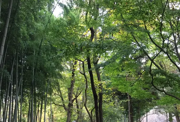蘆花恒春園の写真・動画_image_104820