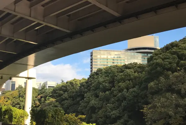 弁慶橋の写真・動画_image_104955