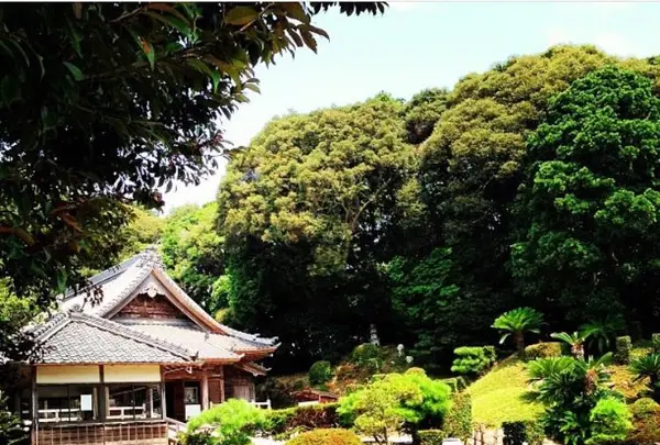 高円寺南３丁目５８−４の写真・動画_image_104974