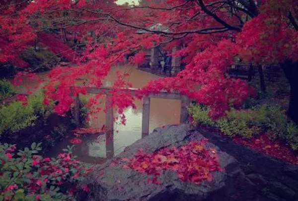 高円寺南３丁目５８−４の写真・動画_image_104976