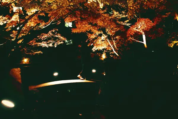 大田黒公園の写真・動画_image_104980