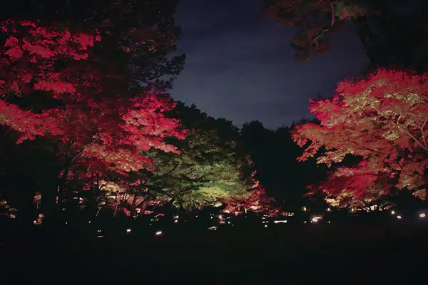 大田黒公園の写真・動画_image_104983