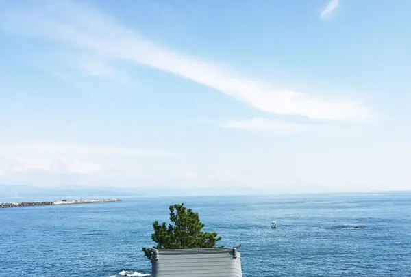 桂浜の写真・動画_image_105019