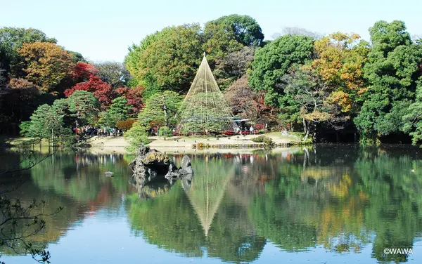 六義園の写真・動画_image_105079