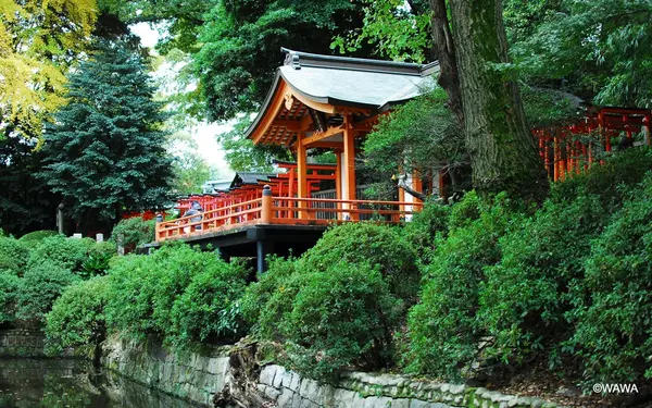 根津神社の写真・動画_image_105080