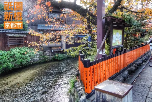 祇園白川の写真・動画_image_105131