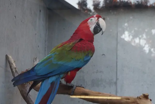 千葉市動物公園の写真・動画_image_105146