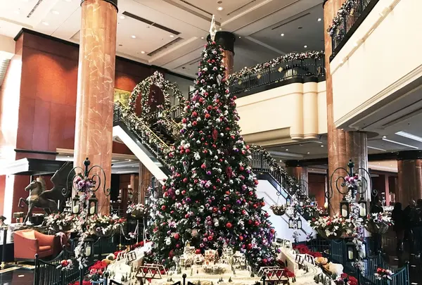 ウェスティンホテル東京の写真・動画_image_105151