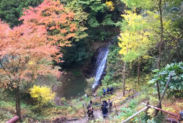 幻の滝の写真・動画_image_105175