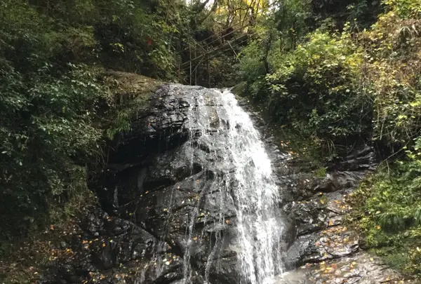 幻の滝の写真・動画_image_105176