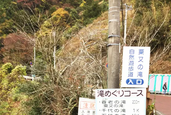 粟又ノ滝の写真・動画_image_105183