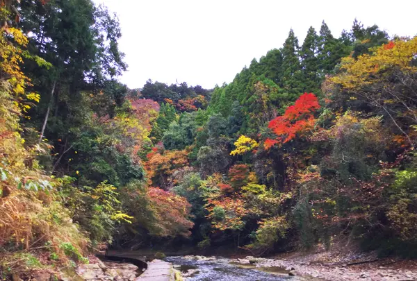 粟又ノ滝の写真・動画_image_105188
