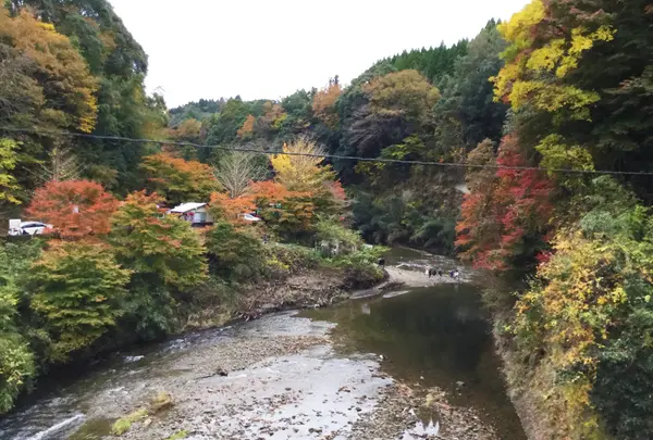 観音橋の写真・動画_image_105194