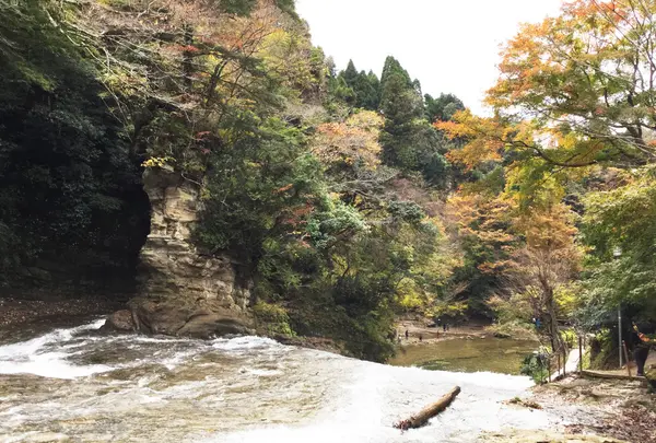 粟又ノ滝の写真・動画_image_105196