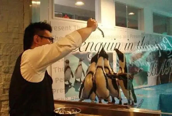ペンギンのいるBAR 池袋の写真・動画_image_105268