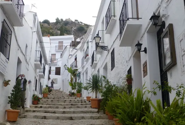 スペイン　アンダルシア　ムルシアナの写真・動画_image_105609