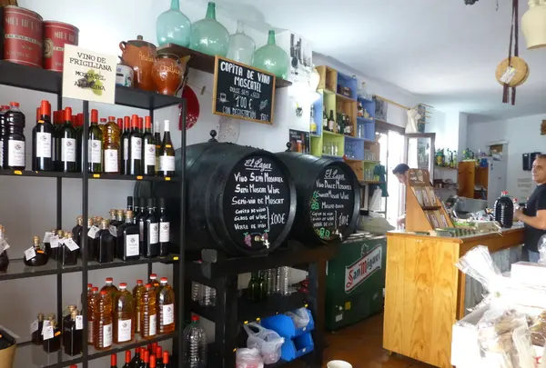 スペイン　アンダルシア　ムルシアナの写真・動画_image_105611