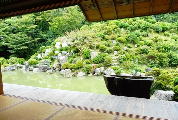 智積院の写真・動画_image_105628