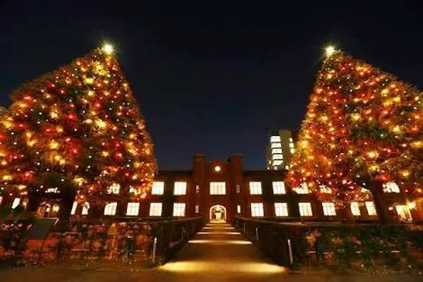 立教大学 池袋キャンパスの写真・動画_image_105639