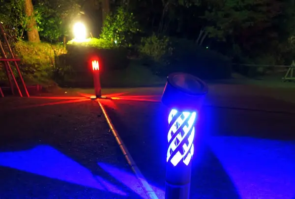 白鳥庭園の写真・動画_image_105782