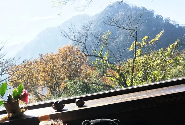 茶庵とちのきの写真・動画_image_105824