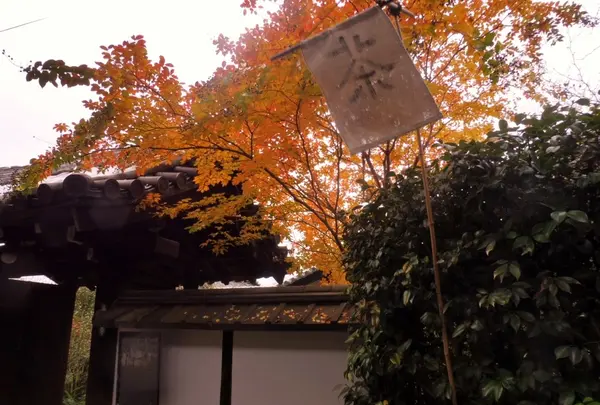 東光寺の写真・動画_image_105870