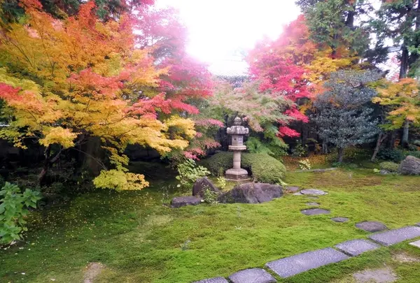 栗棘庵の写真・動画_image_105873