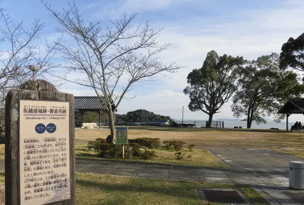 大避神社の写真・動画_image_105955