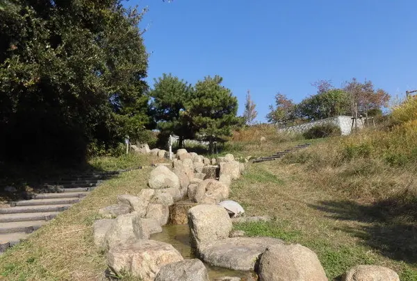 八木公園の写真・動画_image_105957