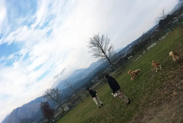 あそ望の郷くぎのの写真・動画_image_106089