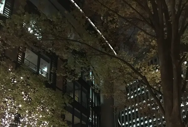 丸の内ブリックスクエア (Marunouchi BRICK SQUARE)の写真・動画_image_106093