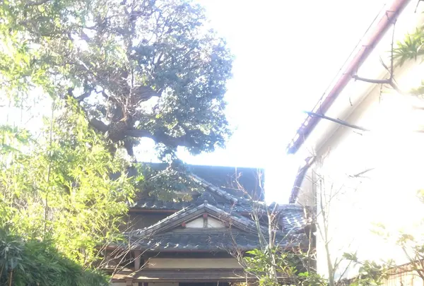 朝倉彫塑館の写真・動画_image_106147