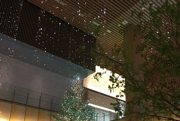 KITTE名古屋の写真・動画_image_106167
