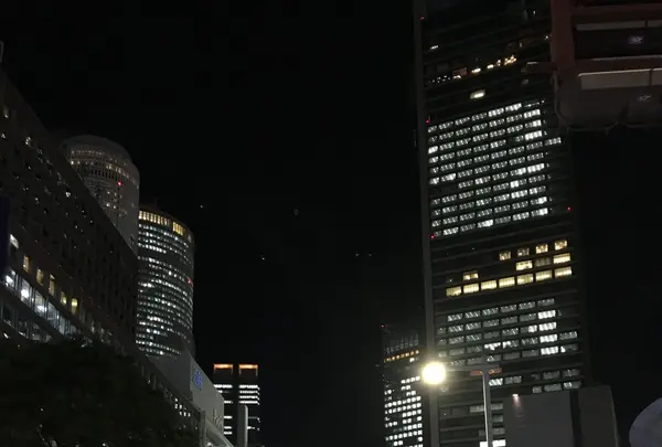 笹島からナナちゃんの写真・動画_image_106175