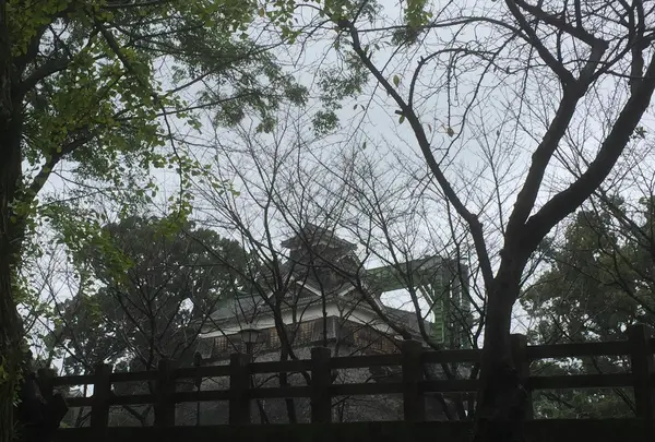 熊本城の写真・動画_image_106199