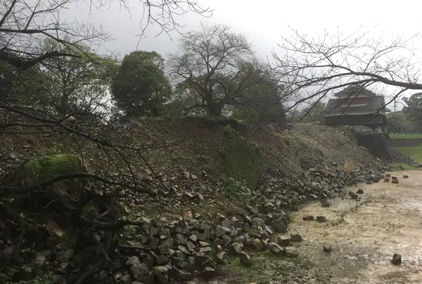 熊本城の写真・動画_image_106209