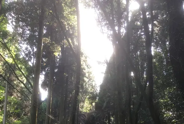 上色見熊野座神社の写真・動画_image_106240