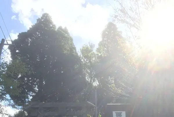 上色見熊野座神社の写真・動画_image_106241