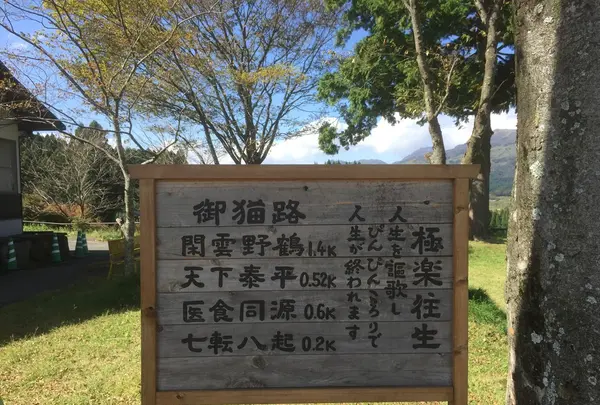 月廻り公園の写真・動画_image_106245