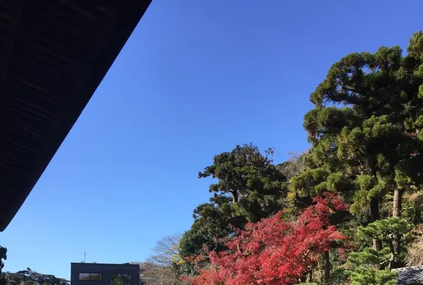 建長寺の写真・動画_image_106422