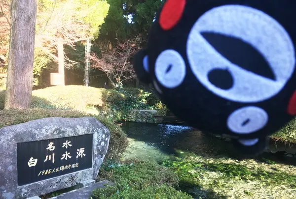 白川水源の写真・動画_image_106696
