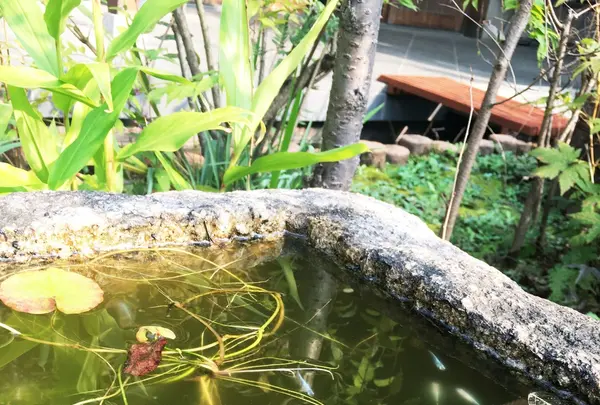 本納寺の写真・動画_image_106748