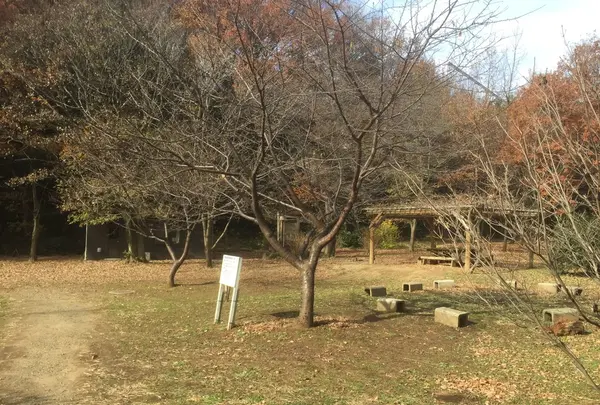多摩自然遊歩道の写真・動画_image_106881