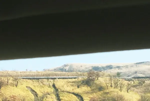 由布岳の写真・動画_image_106905