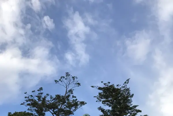 清澄寺の写真・動画_image_106962