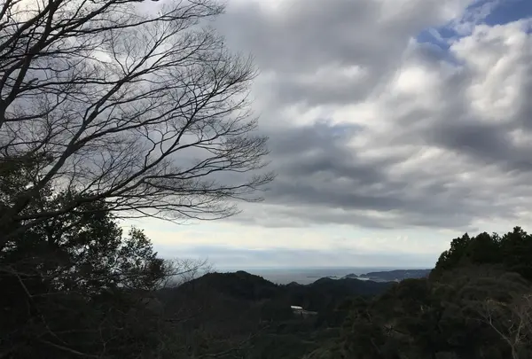 清澄寺の写真・動画_image_106968