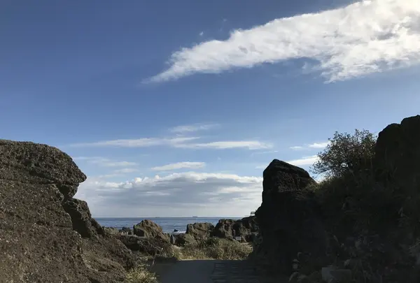 野島埼灯台の写真・動画_image_106996