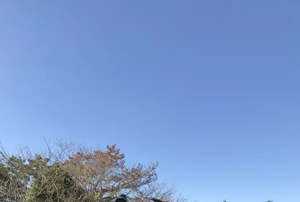 野島埼灯台の写真・動画_image_106998